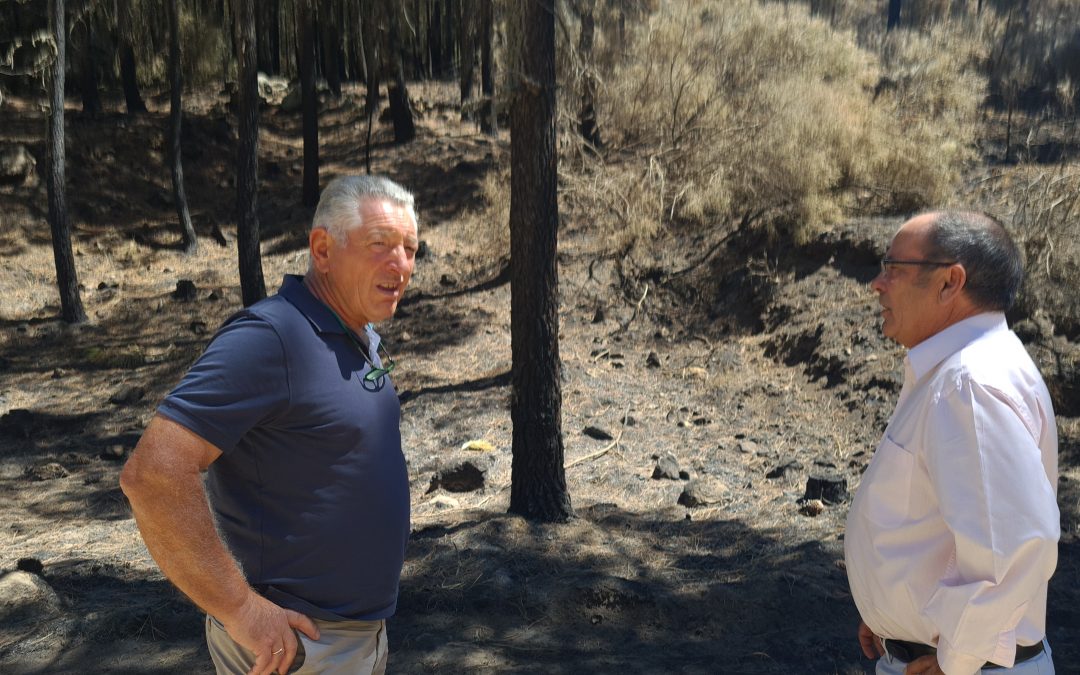 Por Ávila se une a las demandas de los pueblos afectados por el incendio de Santa Cruz del Valle y pide a las instituciones competentes un cambio en la política contra incendios