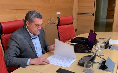 Por Ávila pide a la Junta medidas para reducir los accidentes por fauna silvestre en las carreteras autonómicas