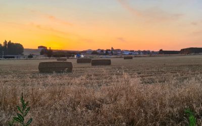 Por Ávila felicita a los agricultores en el día de San Isidro y se reafirma en su apoyo al sector