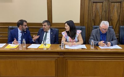 Por Ávila mantiene en el Pleno de Diputación el voto en contra del Reglamento de Organización del SPEIS al considerarlo incompleto y descafeinado