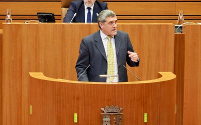 Las Cortes aprueban la iniciativa de Por Ávila para la creación de unidades de ictus