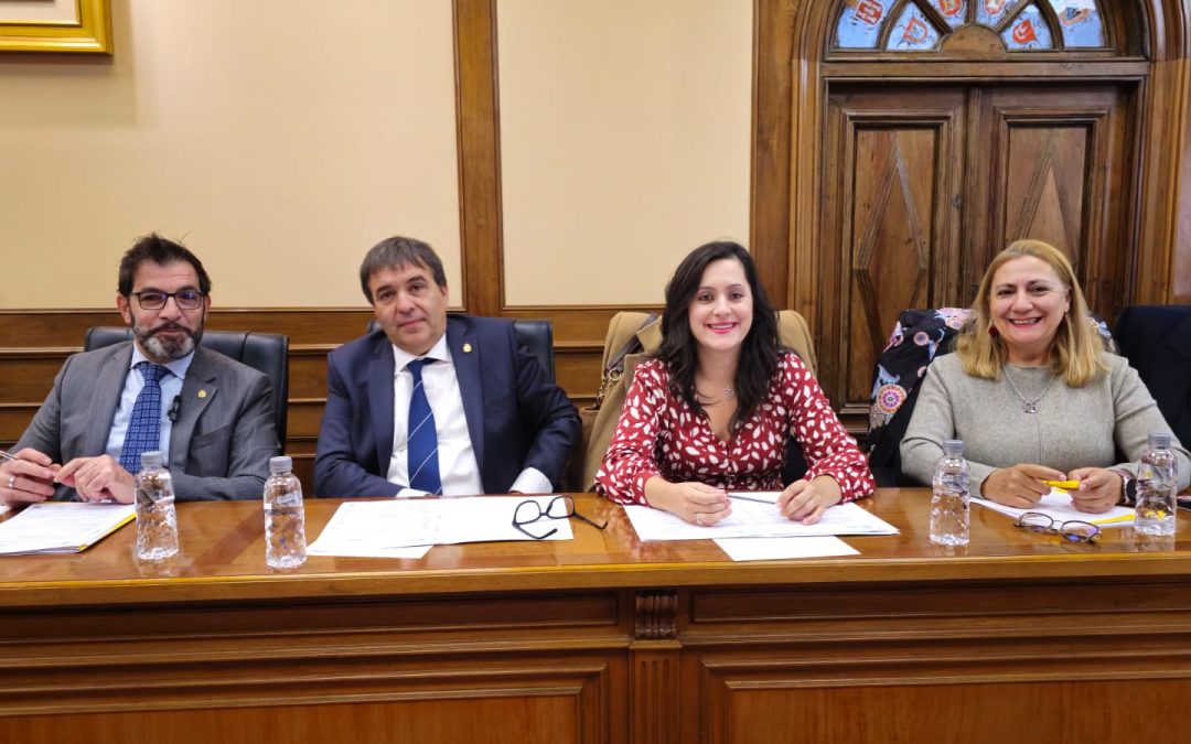 Por Ávila tacha de lamentable que el PP utilice la Diputación de Ávila para ponerla al servicio de Mañueco