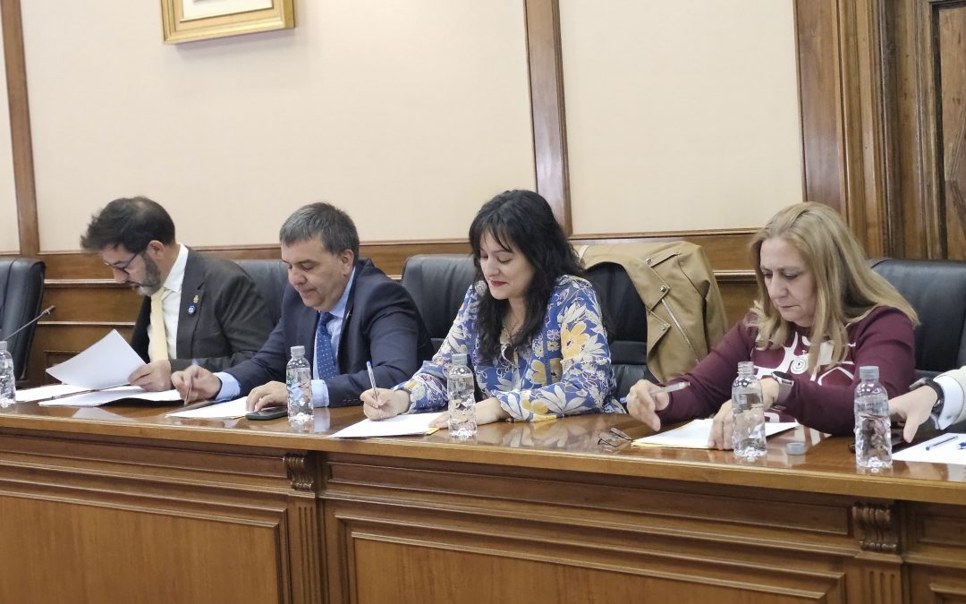 Por Ávila detecta errores en el Plan Económico Financiero aprobado ayer por Diputación tras sobrepasar el techo de gasto en 8,1 millones de euros