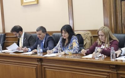 Por Ávila detecta errores en el Plan Económico Financiero aprobado ayer por Diputación tras sobrepasar el techo de gasto en 8,1 millones de euros