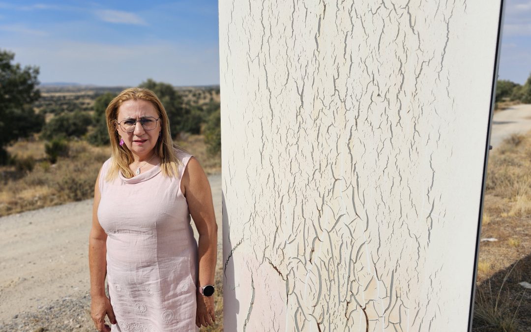 Por Ávila pide a la Diputación y a la Junta de Castilla y León que inviertan en la mejora integral del castro de Las Cogotas