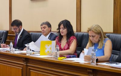 Por Ávila pedirá que la Diputación elabore un calendario detallado de las convocatorias de subvenciones que se destinan a los ayuntamientos