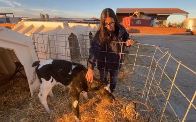 Por Ávila defiende el papel de las mujeres rurales y reivindica más avances en conciliación y reducción de la brecha digital