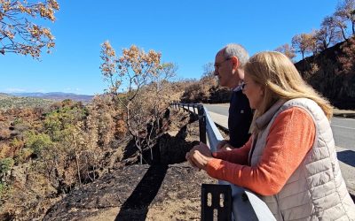 Por Ávila solicita la retirada de ceniza y otros residuos de las cunetas de la zona del incendio para minimizar la contaminación hídrica de cara a las próximas lluvias